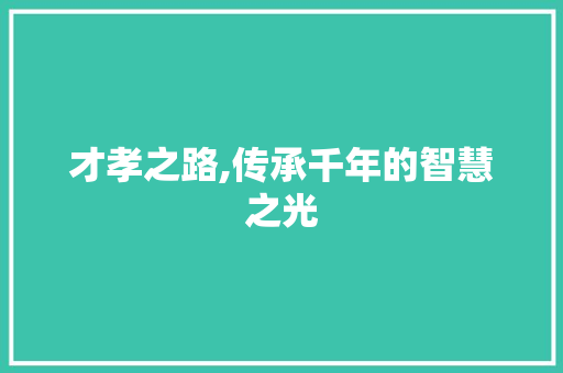 才孝之路,传承千年的智慧之光