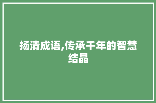 扬清成语,传承千年的智慧结晶