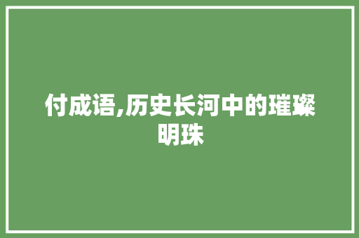 付成语,历史长河中的璀璨明珠