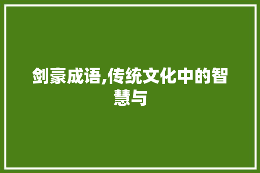 剑豪成语,传统文化中的智慧与
