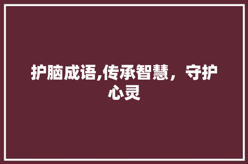 护脑成语,传承智慧，守护心灵