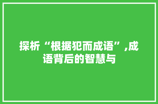 探析“根据犯而成语”,成语背后的智慧与