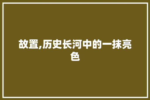 故置,历史长河中的一抹亮色