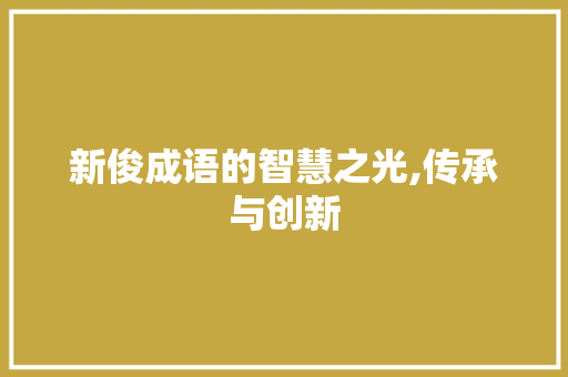 新俊成语的智慧之光,传承与创新