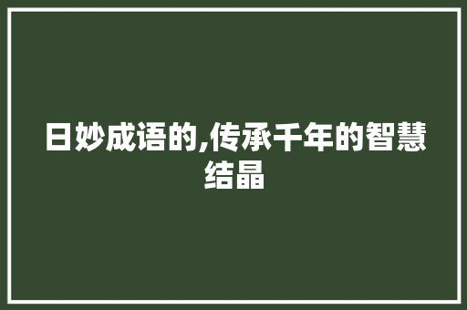 日妙成语的,传承千年的智慧结晶