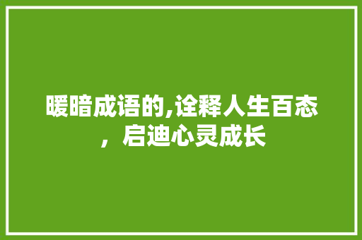 暖暗成语的,诠释人生百态，启迪心灵成长
