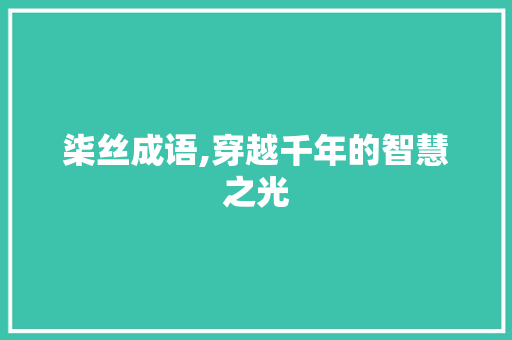 柒丝成语,穿越千年的智慧之光