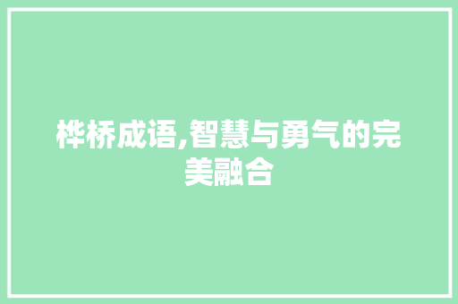 桦桥成语,智慧与勇气的完美融合