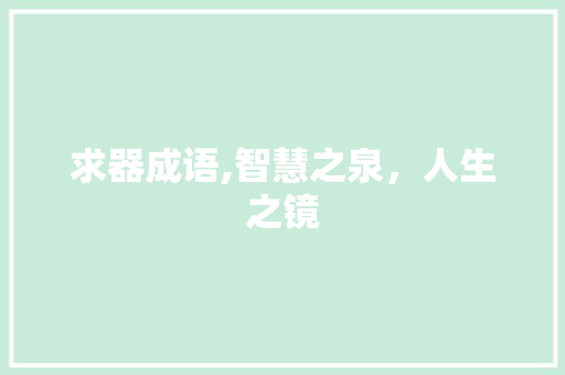 求器成语,智慧之泉，人生之镜