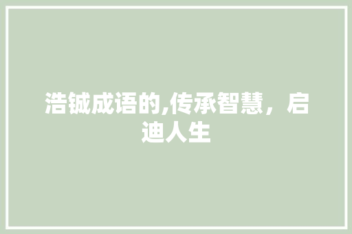 浩铖成语的,传承智慧，启迪人生