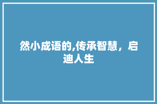 然小成语的,传承智慧，启迪人生
