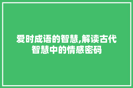 爱时成语的智慧,解读古代智慧中的情感密码