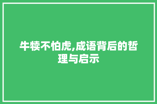 牛犊不怕虎,成语背后的哲理与启示