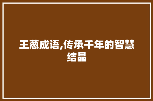 王葱成语,传承千年的智慧结晶
