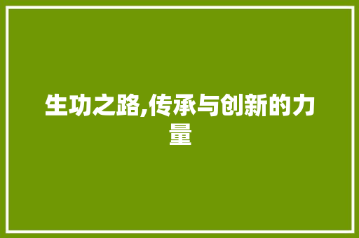 生功之路,传承与创新的力量