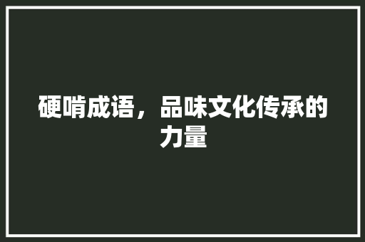 硬啃成语，品味文化传承的力量