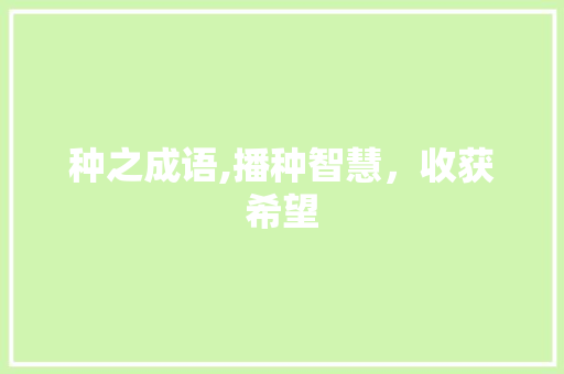 种之成语,播种智慧，收获希望