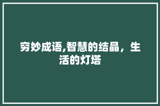 穷妙成语,智慧的结晶，生活的灯塔