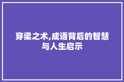 穿梁之术,成语背后的智慧与人生启示