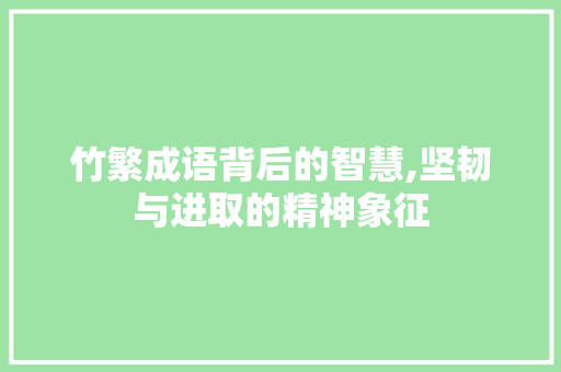 竹繁成语背后的智慧,坚韧与进取的精神象征