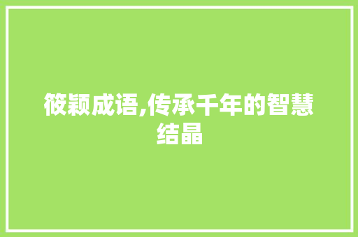 筱颖成语,传承千年的智慧结晶