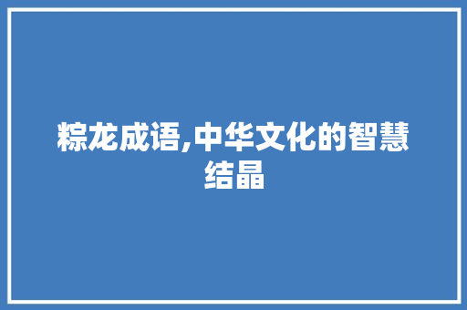 粽龙成语,中华文化的智慧结晶