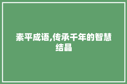 素平成语,传承千年的智慧结晶