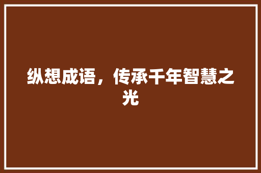 纵想成语，传承千年智慧之光