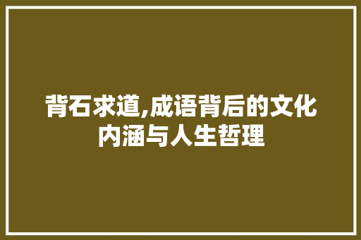 背石求道,成语背后的文化内涵与人生哲理