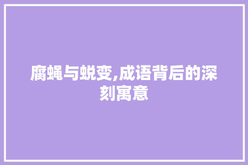腐蝇与蜕变,成语背后的深刻寓意