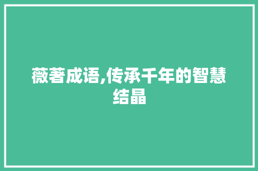 薇著成语,传承千年的智慧结晶