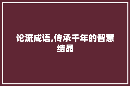论流成语,传承千年的智慧结晶