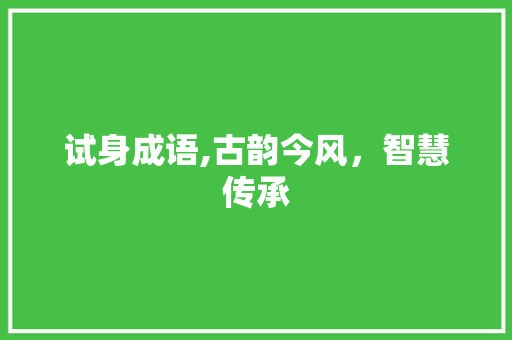 试身成语,古韵今风，智慧传承