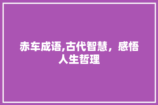 赤车成语,古代智慧，感悟人生哲理