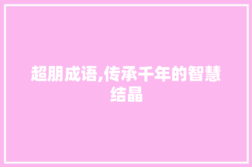 超朋成语,传承千年的智慧结晶