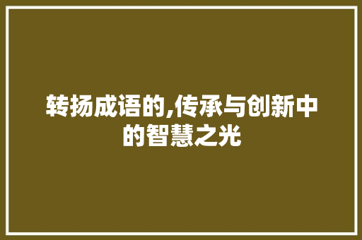 转扬成语的,传承与创新中的智慧之光