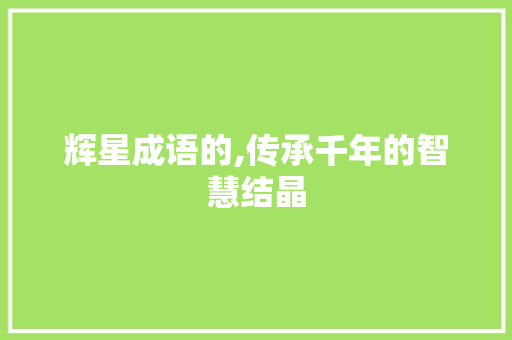 辉星成语的,传承千年的智慧结晶