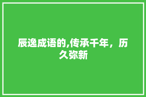 辰逸成语的,传承千年，历久弥新