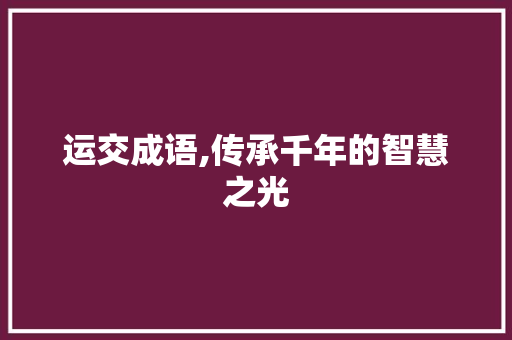 运交成语,传承千年的智慧之光