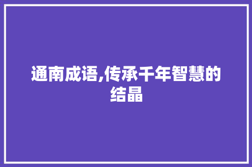 通南成语,传承千年智慧的结晶