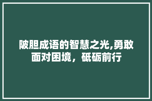 陂胆成语的智慧之光,勇敢面对困境，砥砺前行
