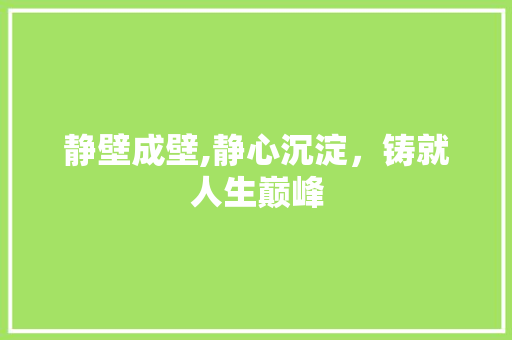 静壁成壁,静心沉淀，铸就人生巅峰