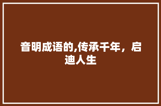 音明成语的,传承千年，启迪人生