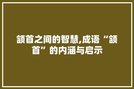 颔首之间的智慧,成语“颔首”的内涵与启示
