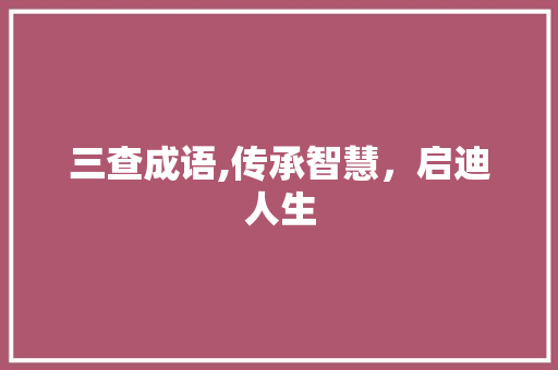 三查成语,传承智慧，启迪人生