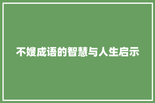 不嫂成语的智慧与人生启示
