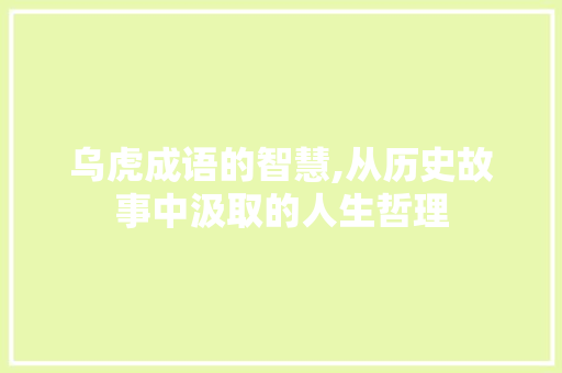 乌虎成语的智慧,从历史故事中汲取的人生哲理