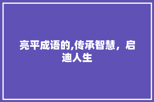 亮平成语的,传承智慧，启迪人生