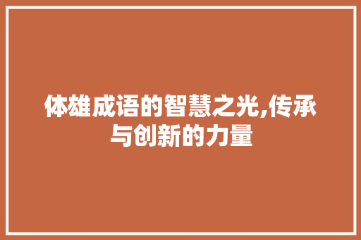 体雄成语的智慧之光,传承与创新的力量