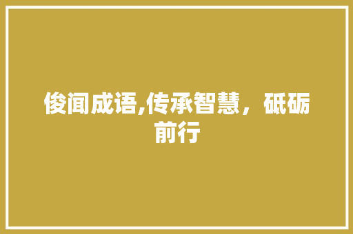 俊闻成语,传承智慧，砥砺前行